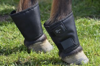 Fetlock Shields Fetlock Shields