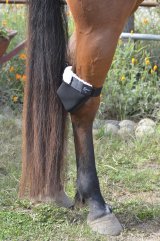 Leg directly under Leg directly under