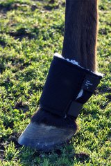 Fetlock Shield Fetlock Shield