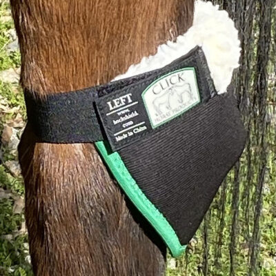 Click Hock Shield (Singles)