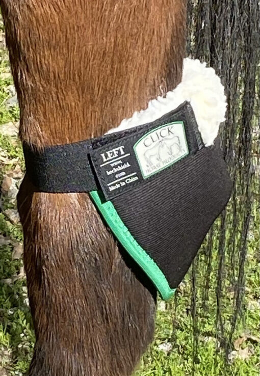 Click Hock Shield (Singles)