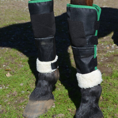 Click Knee Shield