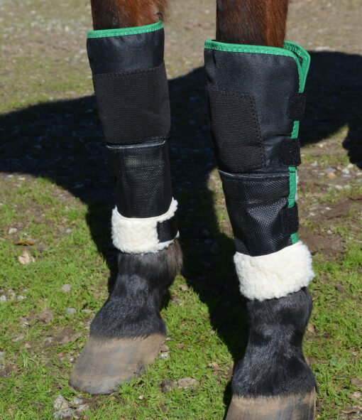 Click Knee Shield